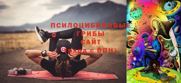 ГАЛЛЮЦИНОГЕННЫЕ ГРИБЫ Навашино