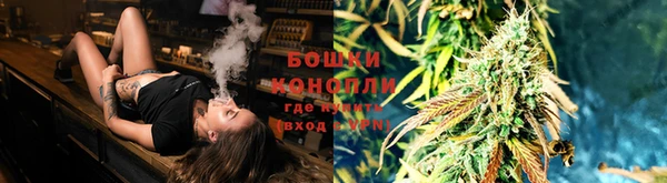PSILOCYBIN Туринск