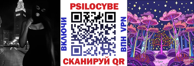 где купить наркоту  Октябрьск  Псилоцибиновые грибы Psilocybe 
